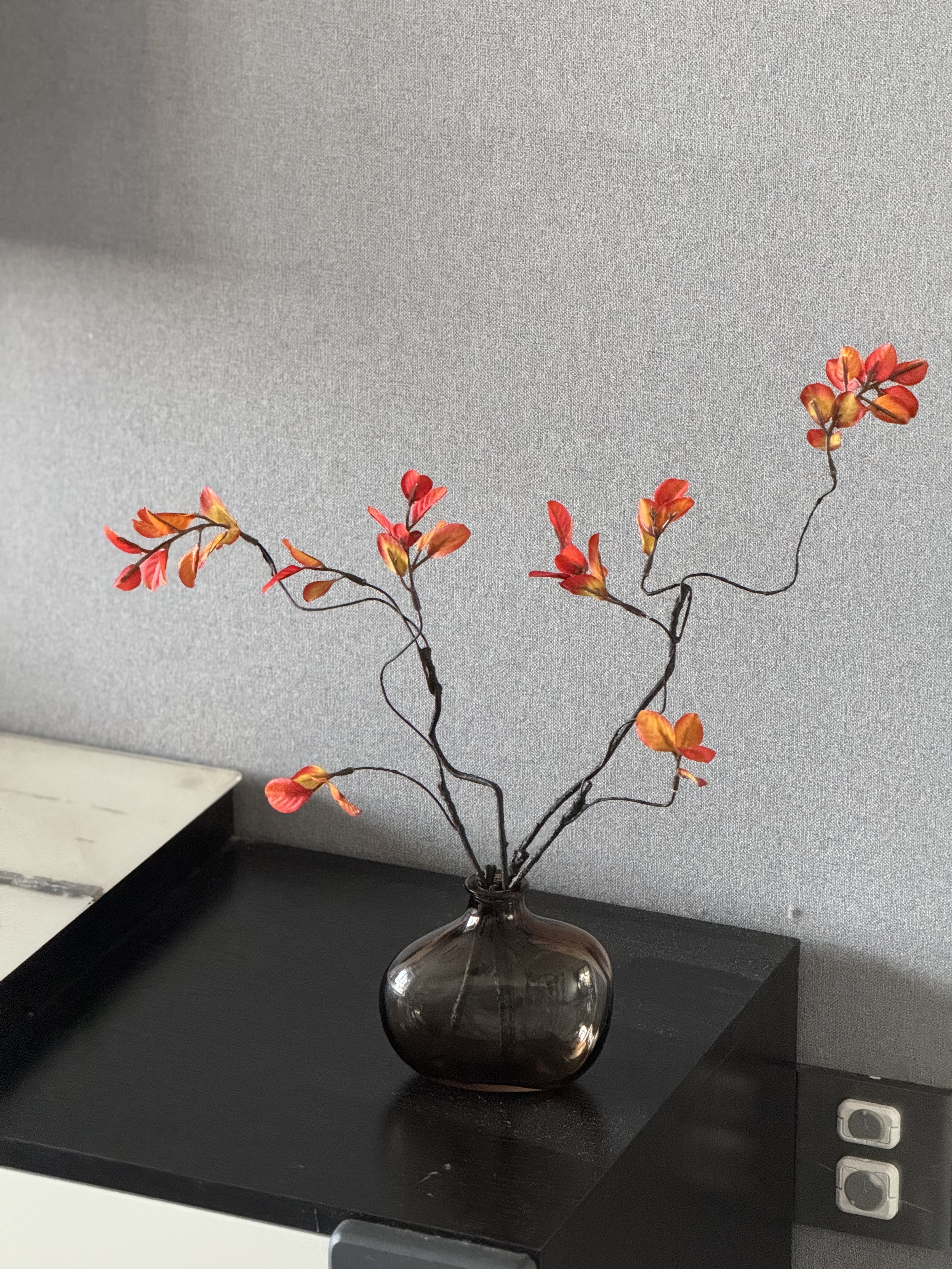 范爷家仿真花红枫叶花瓶套装树叶子发财叶室内摆件客厅装饰假花北欧摆设 实拍图