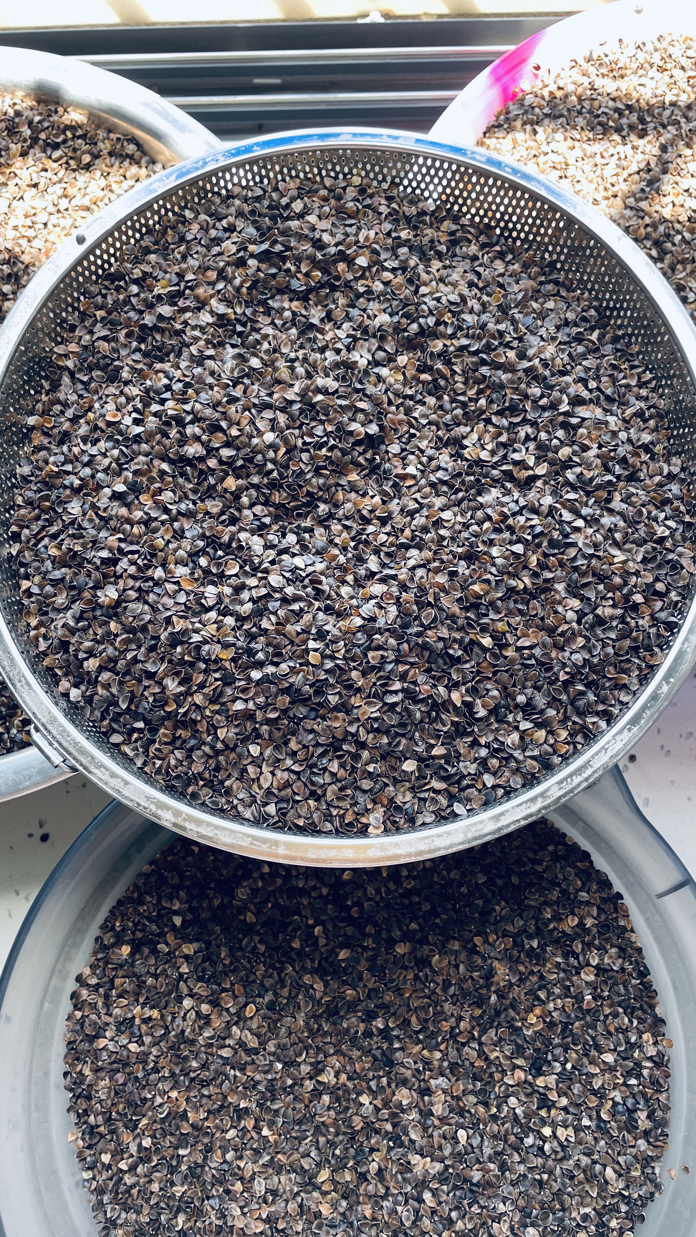 林夕一晨散装荞麦壳散装荞麦枕头填充物荞麦皮枕芯精选出口级高温水洗荞麦 精选高温消毒（甜荞壳）5斤 实拍图