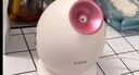 金稻蒸脸仪美容仪器面部喷雾补水仪蒸汽机加湿器热喷蒸脸器Q版便携面膜搭档KD233低功率毕业礼物送老师 实拍图