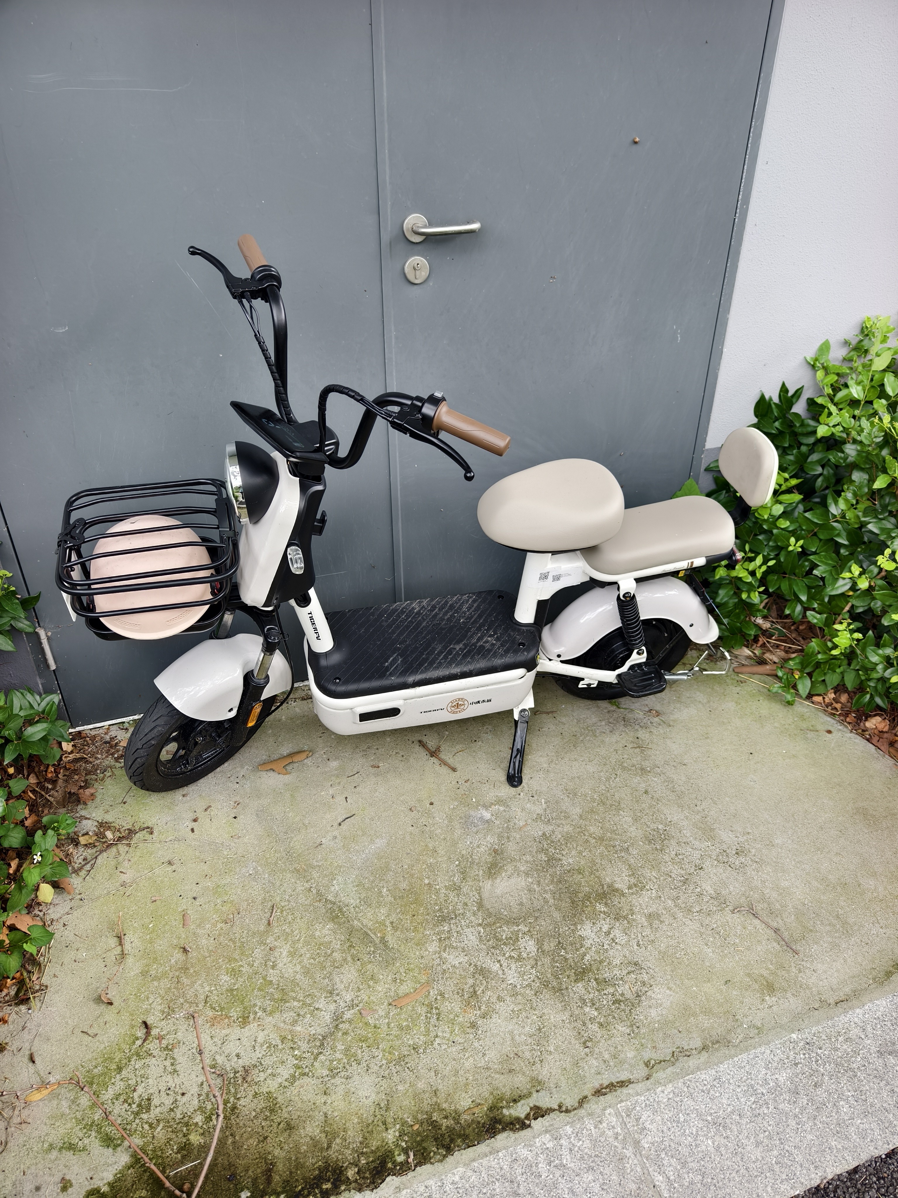 驰小虎电动自行车 如意虎新国标电动车电动自行车48V20Ah电池长续航电瓶车代步车电车家用成人电车白 实拍图