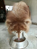 LEGENDSANDY蓝氏狗粮金毛全犬种成犬幼犬多肉蔬菜30kg【囤货装】 实拍图