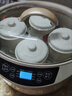 天际（TONZE）电炖锅隔水炖锅燕窝电炖盅煲汤锅炖汤锅婴儿辅食煮粥锅白瓷一锅4胆 GSD-223GC 2.2L 实拍图