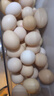 京鲜生 无抗保洁鲜鸡蛋30枚/盒 健康轻食 礼盒送礼 1.5kg/盒 源头直发 实拍图