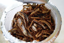 licheers龟粮虾干鱼干三合一乌龟饲料冻干昆虫鱼食乌龟怀孕粮食鱼干 800ml 实拍图