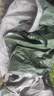 源兴（YUANXING）绿银篷布加厚防水布货车防雨布篷布遮阳遮雨防晒油布塑料布 5*6米 实拍图