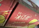 统一冰红茶500ml*15瓶 新旧包装交替发货 实拍图