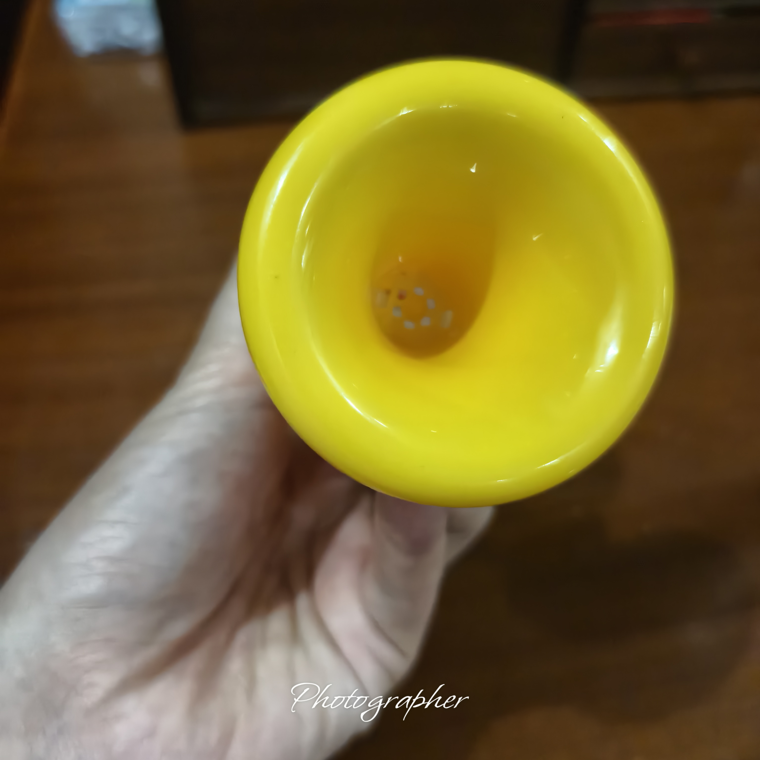 奕思瑞小喇叭婴儿玩具6-12个月以上可吹乐器1-3岁宝宝口哨儿童生日礼物 实拍图