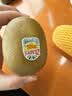 佳沛（zespri）新西兰阳光金果4粒装单果约103-114g 猕猴桃新鲜水果源头直发 实拍图