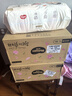 好奇（Huggies）铂金装小桃裤成长裤XL96片(12-17kg)加大号尿不湿【夏季散热王】 实拍图