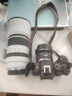 佳能（Canon）【官方旗舰】RF70-200mm F2.8 L IS USM 远摄镜头 微单镜头 大三元 “小白IS” 实拍图