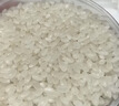 十月稻田 绿色食品 五常大米 10斤(香米 东北大米 5kg/公斤) 实拍图