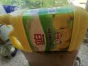 立白清新柠檬洗洁精大桶1.5kg 除味去油腥餐具净洗涤灵洗碗液随机发货 实拍图