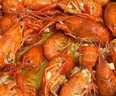 洪湖诱惑安井 麻辣小龙虾尾【10盒】252g 固形物≥120g 45只左右 加热即食 实拍图