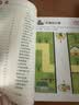 小红花头脑潜能开发迷宫2-3岁（全2册）迷宫书智力大迷宫游戏书儿童0-3岁走迷宫书专注力逻辑思维训练书籍大冒险左右脑开发益智书大脑图形注意力图书绘本课外书自主阅读假期读物省钱卡 实拍图