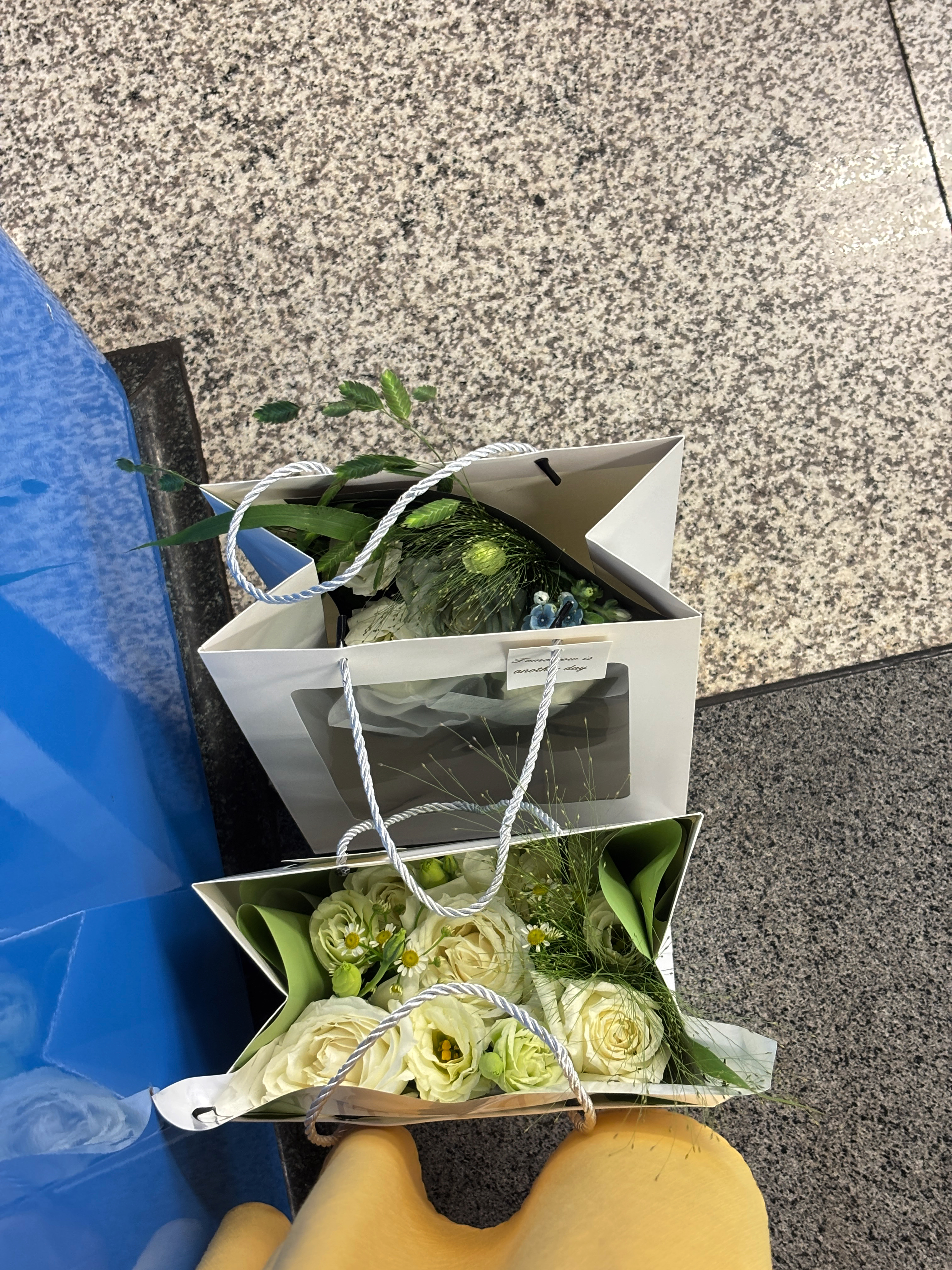 阿吉豆耳钉女款耳环人鱼之泪轻奢耳圈小众耳饰独特气质饰品 实拍图