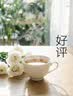 钻石牌工业风扇电风扇落地扇大风力牛角扇工厂车间仓库强力超大功率摇头大风扇铜线电机FS-65 实拍图
