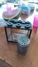 桌面鱼缸小型家用积木缸生态缸水族箱斗鱼缸带小夜灯氛围灯摆件 黑色斗鱼缸【不带灯】 实拍图