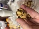 楼兰蜜语京觅甄选新疆薄皮核桃2.5kg新货纸皮送礼礼盒坚果特产休闲零食 实拍图