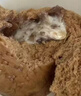 广州酒家流沙凤凰包750g 20个 早餐半成品早茶点心包子面点食品面点小笼包 实拍图