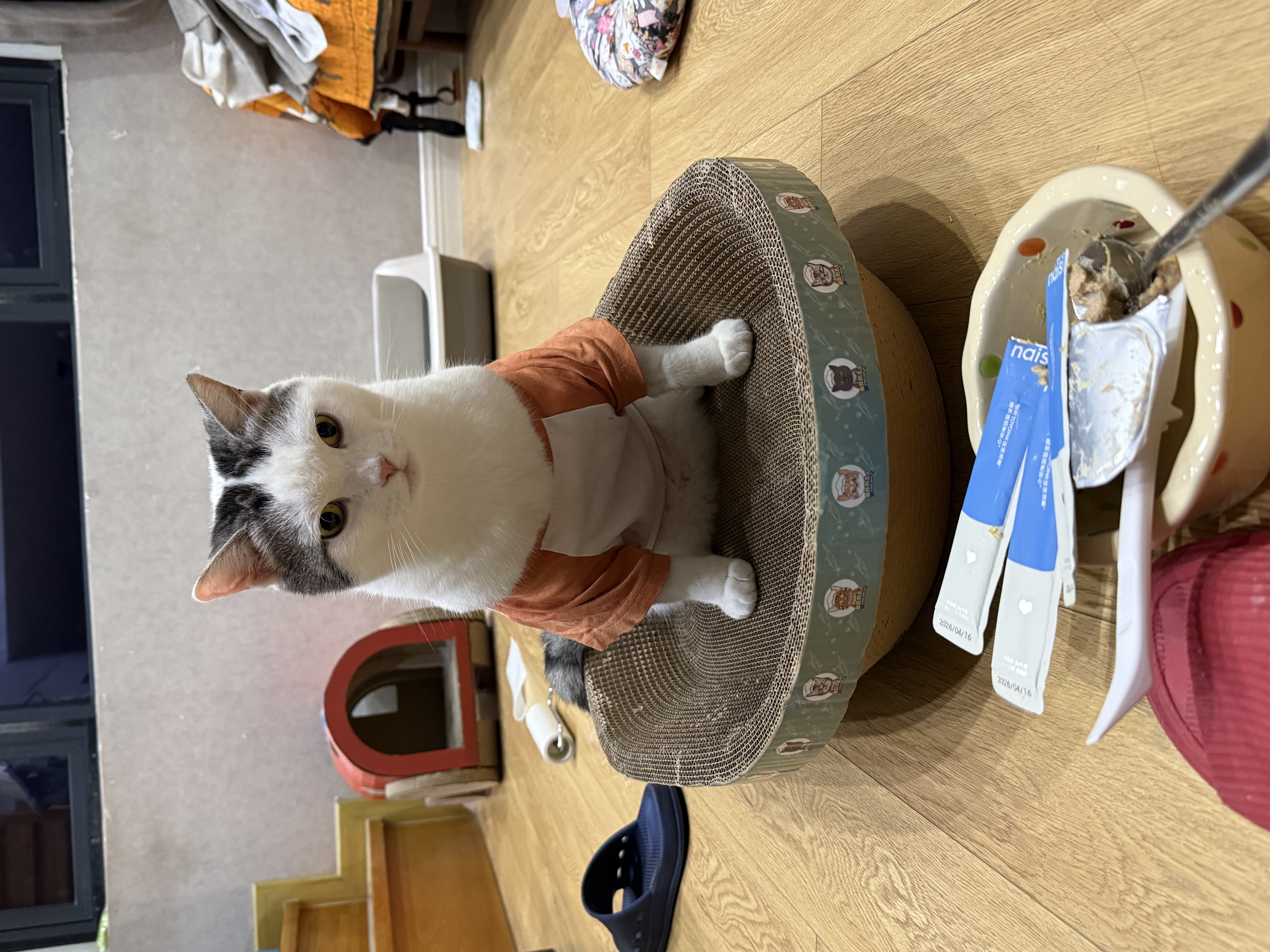 疯狂的主人猫抓板窝碗形超大号猫抓盆不掉屑猫窝宠物猫玩具瓦楞纸猫爪板 实拍图