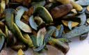 京鲜生云南特产鲜菌菇【新鲜见手青】净重1斤牛肝菌火锅食材源头直发 实拍图