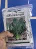 北蔬各种蔬菜种子秋黄瓜菠菜小白菜香菜小葱阳台四季菜籽12种蔬菜种子 实拍图