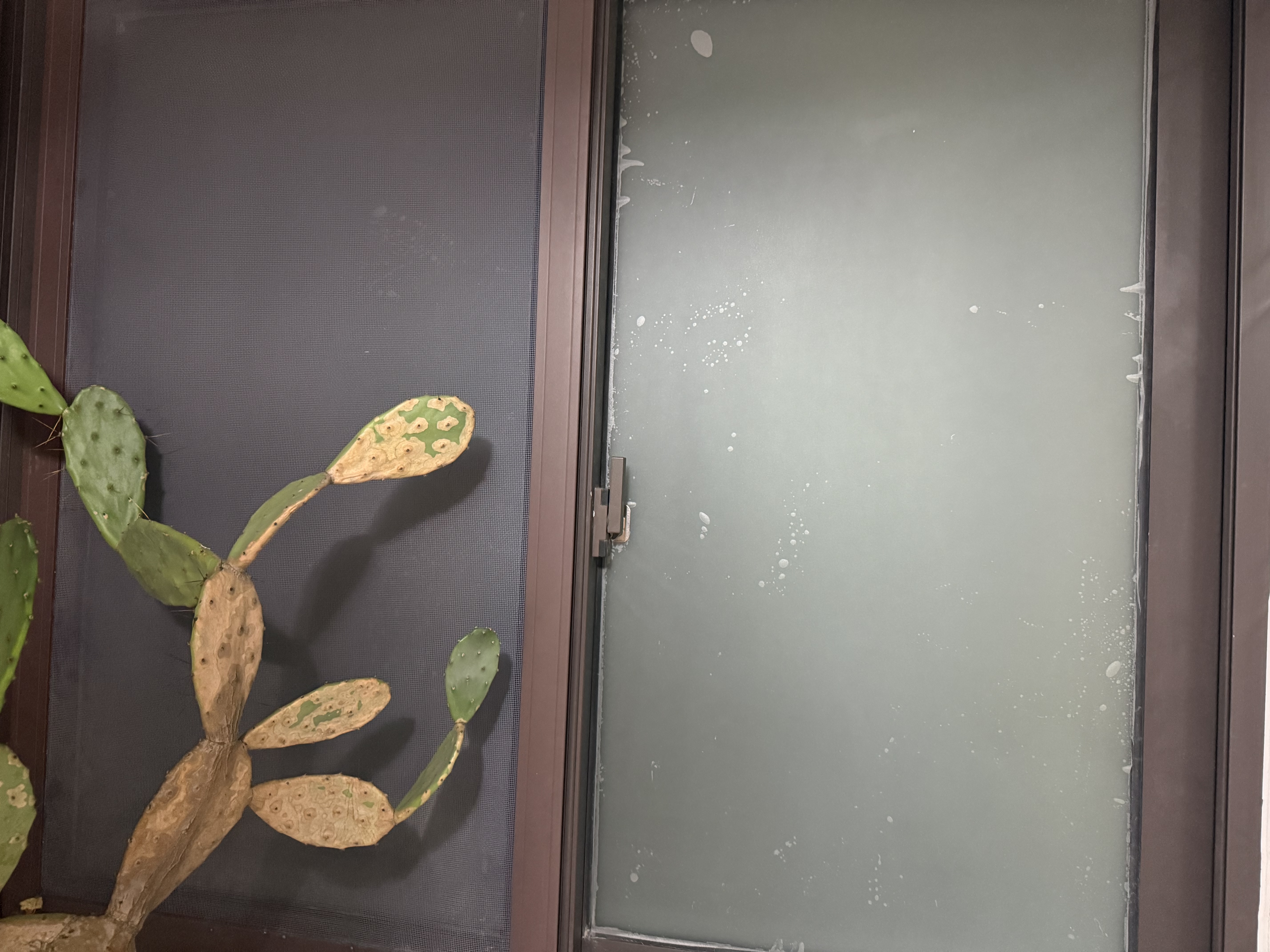 希偌磨砂玻璃贴纸透光不透人办公室防窥视窗户防走光卫生间隐私贴膜 实拍图