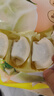 湾仔码头素水饺裙带菜杏鲍菇水饺720g42只 饺子早餐食品半成品 实拍图