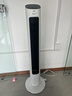 格力（GREE）【风柔音轻】智能定时预约开关机塔扇电风扇远柔风无叶风扇摇头落地扇母婴扇遥控塔扇 FL-08X61Bg 实拍图