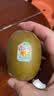 佳沛（zespri）新西兰 阳光金奇异果12粒特大果单果124-146g 猕猴桃水果礼盒 实拍图