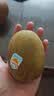 佳沛（zespri）新西兰阳光金奇异果原箱 16粒巨无霸 单果约204-233g   水果礼盒 实拍图