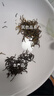 印象堂茶叶特级金骏眉500g 福建核心产区正宗红茶自己喝的好茶 实拍图