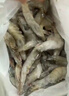 东上御品虾 青岛大虾基围虾鲜活青虾白虾海虾对虾冰虾冻虾生鲜 虾类 海鲜 3斤(净重)  气冻大虾【活虾速冻】 17-21cm【特大虾皇】 实拍图