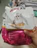 艾尔猫粮成猫幼年猫粮 牛肉鲑鱼2.5kg5斤 实拍图
