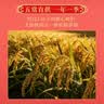 原禾纪有机五常大米10斤福运绵长礼盒 新米福利团购送礼稻香米礼盒 实拍图