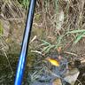 汉鼎一号七代浮漂子线钩缠把带【赠品勿拍】5.4米综合配件套装 实拍图