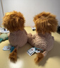 Jellycat波浪毛狮子动物毛绒玩偶公仔安抚潮玩娃娃送礼生日礼物 波浪毛狮子 Medium 实拍图