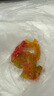 骆驼（CAMEL）夏季户外魔术贴凉鞋男女溯溪涉水速干沙滩鞋子F14B162007 实拍图