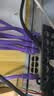 普联（TP-LINK）16口千兆云管理交换机APP管理可支持即插即用 网线tplink企业办公安防分线器分流器 TL-SG2016D 实拍图