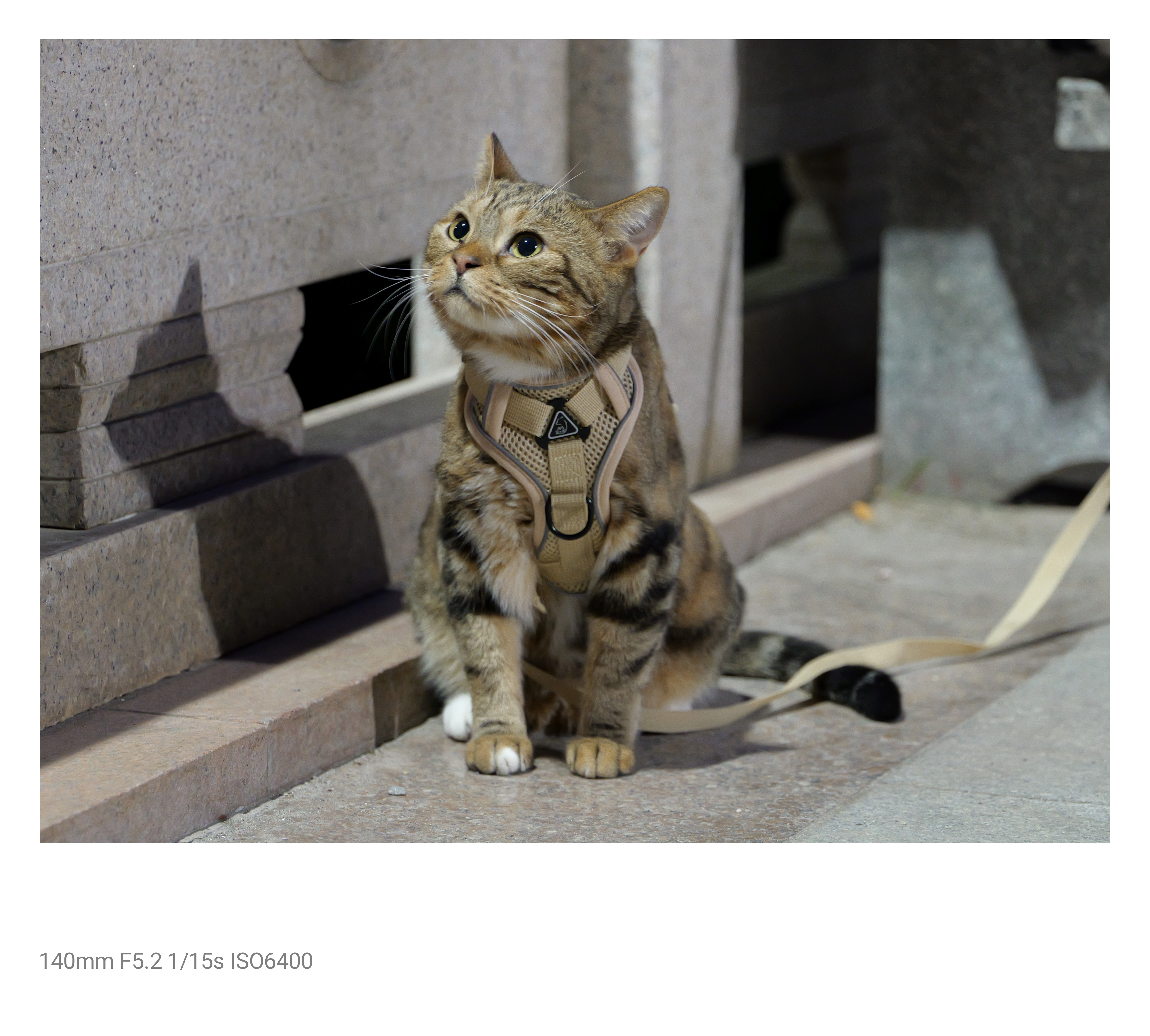 松下S9（18-40mm F4.5-6.3）套机 （Panasonic）全画幅微单 实时Lut 滤镜直出 连接app极速分享-炫黑 实拍图