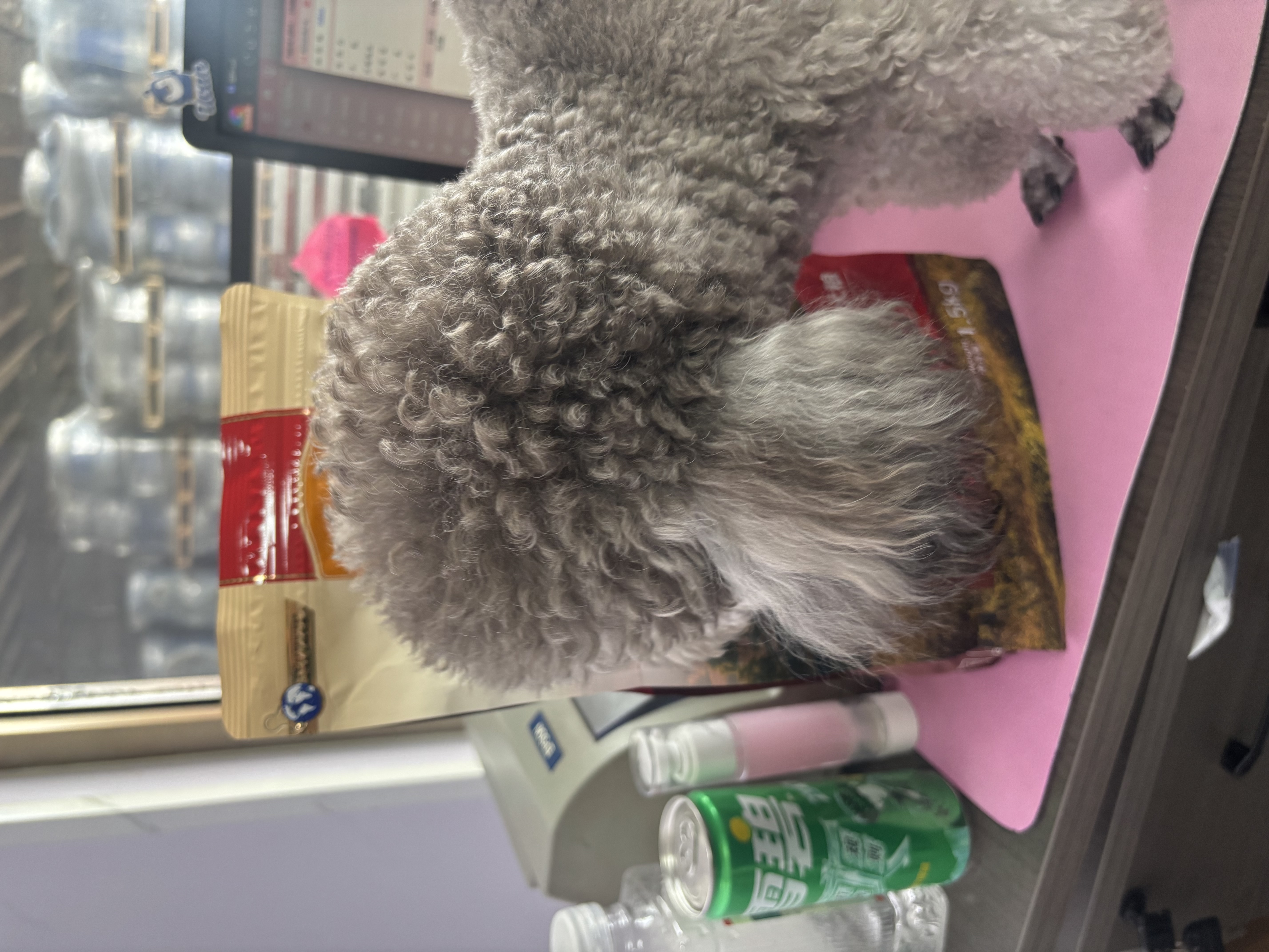 麦富迪狗粮 无谷牛肉双拼狗粮成犬小型犬比熊贵宾缓解泪痕 1.5kg 实拍图