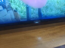 TCL雷鸟电视43雀5 25款43英寸 一级能效 144Hz高刷 1.5+32GB内存  平板电视43F295C-JN 实拍图