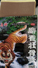金玛神 麝香壮骨膏7cm*10cm*10贴镇痛消炎壮骨挫伤扭伤肩痛神经疼肌肉疼OTC风湿痛 1袋装 实拍图