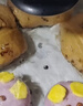 九洲丰园有机儿童猪猪豆沙包210g*2袋/12只卡通包子宝宝早餐食品半成品 实拍图