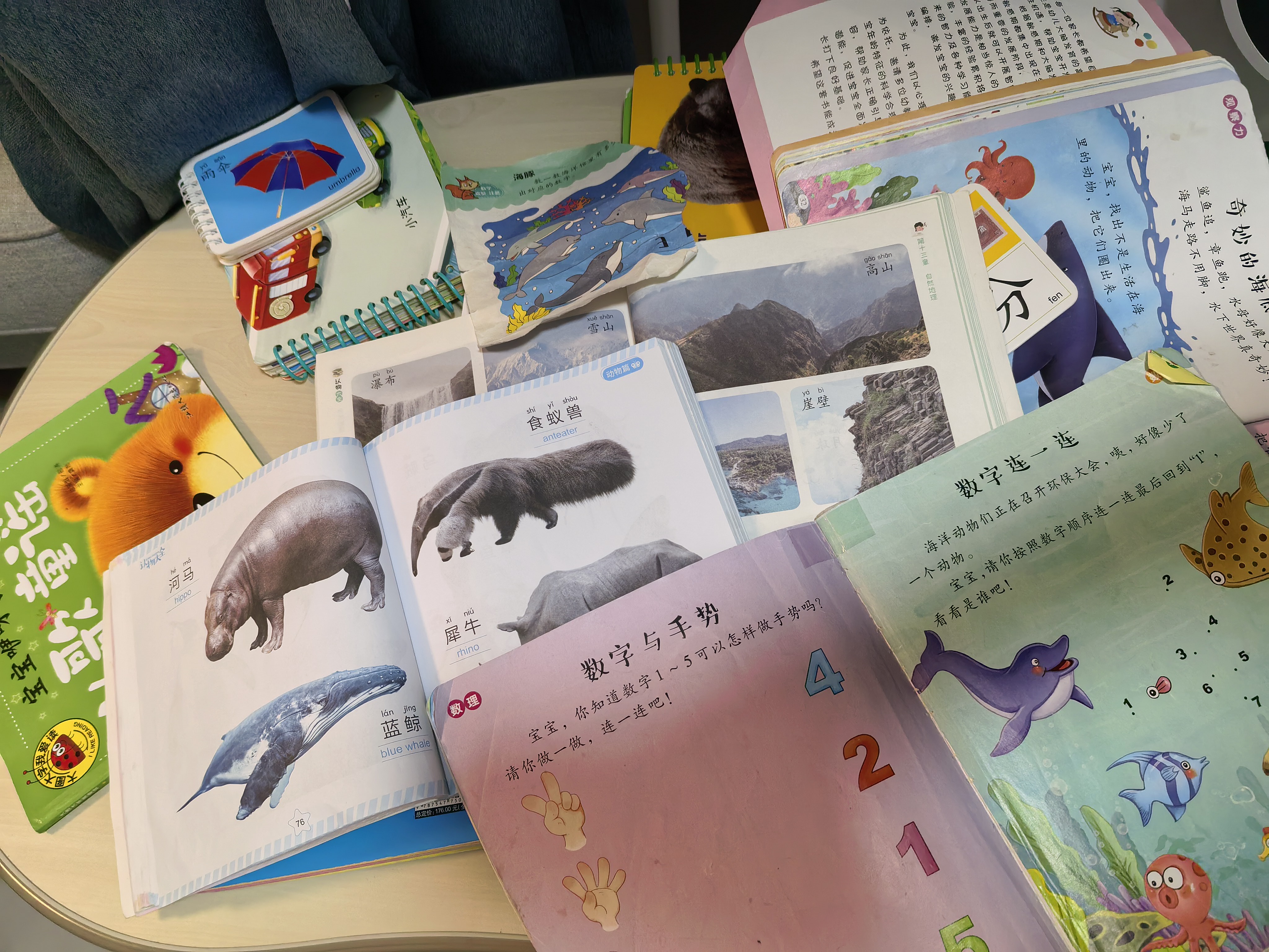 宝宝巴士jojo点读绘本图书宝贝赳赳儿童绘本宝宝点读书1-3岁幼儿园读物婴幼儿启蒙童书双语识字认知书本立体百科全书有声阅读早教发声故事书籍安全认知大百科睡前故事果冻贴纸书漫画安静触摸书点读笔可用不含笔 实拍图