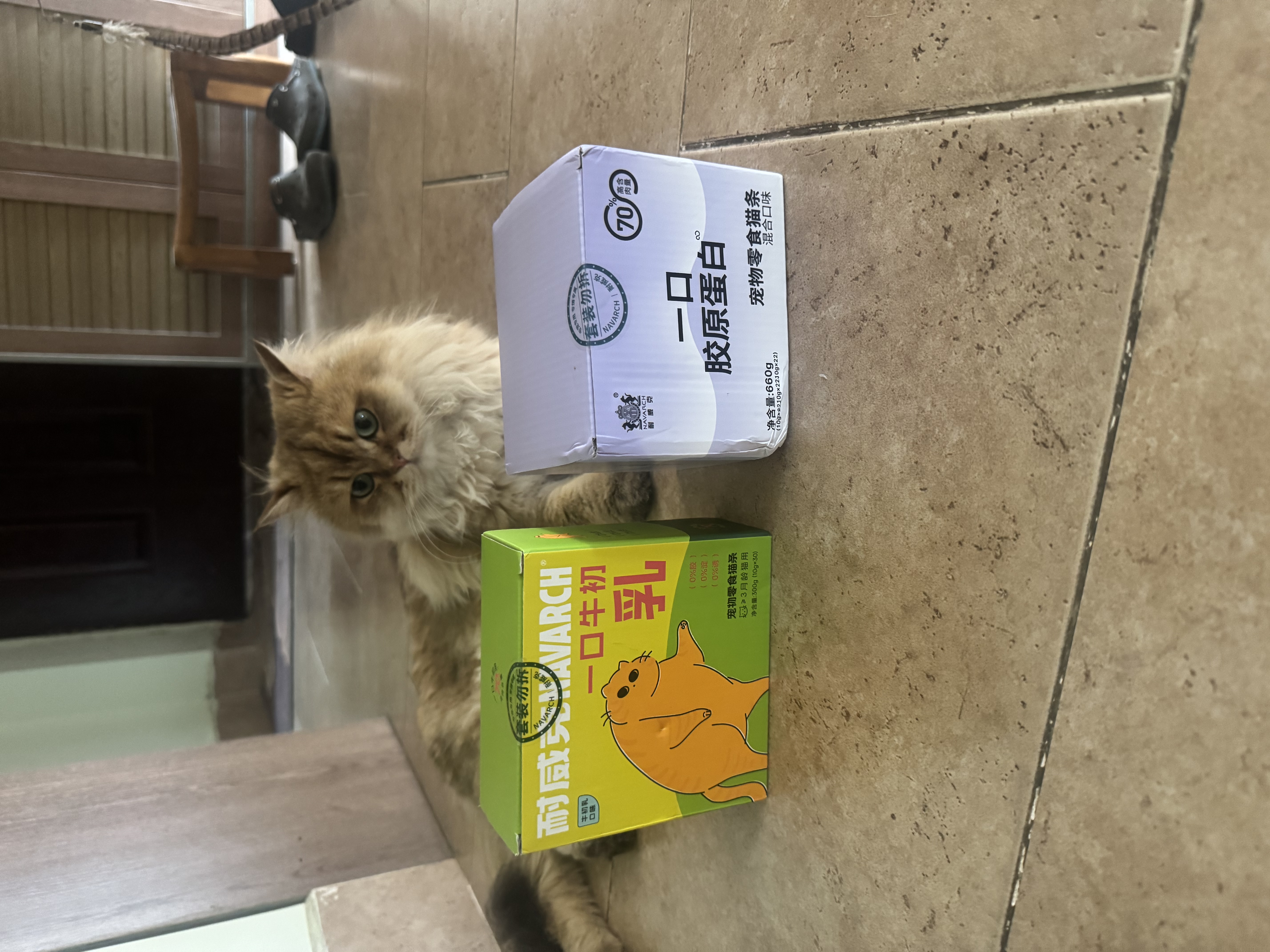 耐威克猫零食猫条 混合口味美毛补水 成猫幼猫湿粮猫咪猫零食66支 实拍图