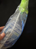 水卫士玻璃清洁剂480g  浴室车窗清洗剂家用擦窗卫生间去除水垢水渍神器 实拍图
