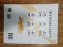 斗半匠 数学思维训练三年级 数学思维训练书 小学奥数举一反三 奥数思维训练三年级上册下册 实拍图