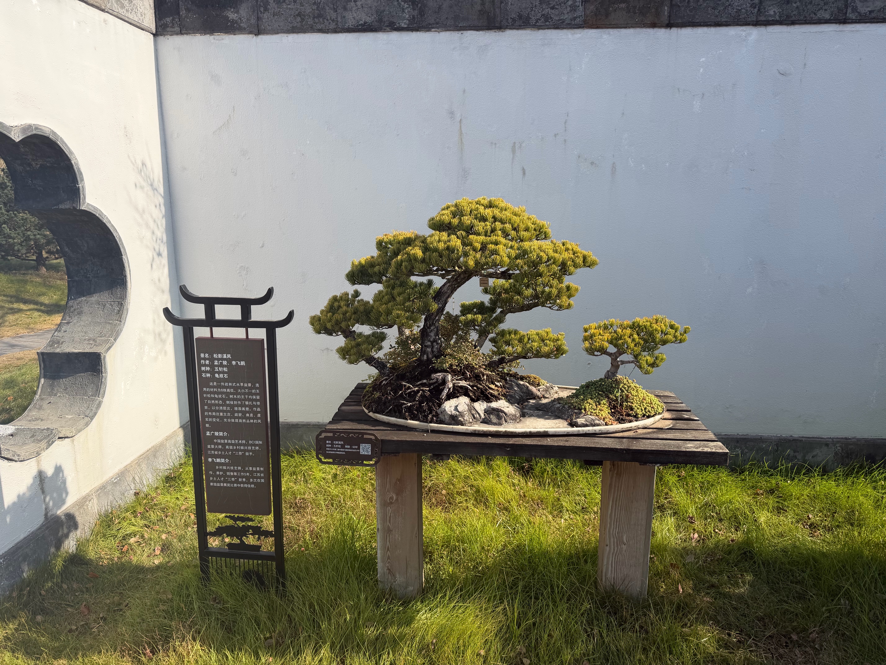西贝莜面村红豆玉米窝窝头260g 8个 儿童早餐半成品豆沙红豆包杂粮面点包点 实拍图