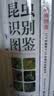 昆虫识别图鉴 实拍图